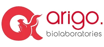 Human Allergy Multiplex ELISA Kit (IL4, IL5, IL13, IgE)